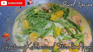 Ginataang Kalabasa w Sitaw amp Hipon Bicol Recipe  Jasmin Sarisari Vlog 52 [upl. by Timothee]