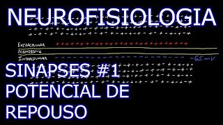 Aula Neurofisiologia  Sinapses 1  Potencial de Repouso  Neurofisiologia Humana [upl. by Hunt]