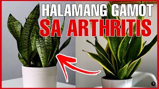 Mabisang Gamot sa Arthritis Gout  Home Remedies  Bhes Tv [upl. by Burrus973]