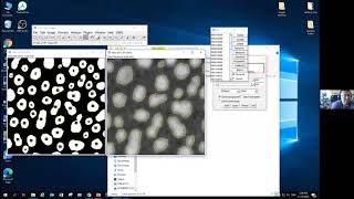 Introduction to Image Analysis with ImageJ  Segmentation Threshold [upl. by Nwahsauq96]