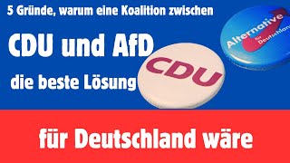 5 Gründe warum eine Koalition zwischen CDU und AfD die beste Lösung für Deutschland wäre afd [upl. by Willey]