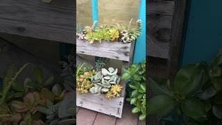 🌵Succulent Pallet Garden  Vertical Gardening Ideas gardeninspiration succulents youtubeshorts [upl. by Dnana]