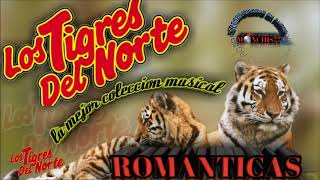 los tigres del norte puras romanticas [upl. by Sigsmond]