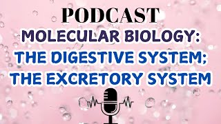 MOLECULAR BIOLOGYTHE DIGESTIVE SYSTEMTHE EXCRETORY SYSTEM [upl. by Prudi464]