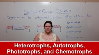 Heterotrophs Autotrophs Phototrophs and Chemotrophs [upl. by Anawait]