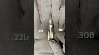 22lr vs 308 Size Comparison [upl. by Igic]