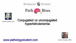 Path Bites Conjugated vs unconjugated hyperbilirubinemia [upl. by Essiralc]