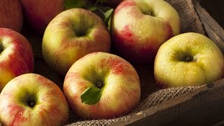 Honeycrisp Salad  Garden Design Dishes on Honeycrisps [upl. by Albion428]