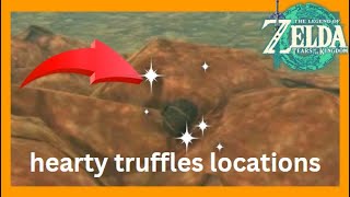 Hearty truffle Location TOTK [upl. by Donelle26]