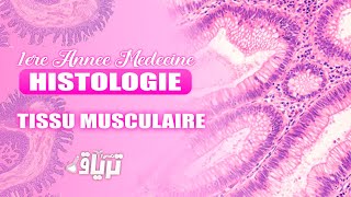 HISTOLOGIE 1ère année  TMC CAMP  TISSU MUSCULAIRE  By Chifa [upl. by Aceber910]