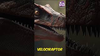 Dinosaurs Educational for toddlers  Dinosaurs for Toddlers to watch [upl. by Shuping17]