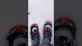 ❄️ Snowshoeing in Yosemite National Park [upl. by Louie]