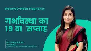 19th Week Pregnancy  19 सप्ताह की गर्भावस्था  Pregnancy week by week  DrShivani Shah [upl. by Anoerb]