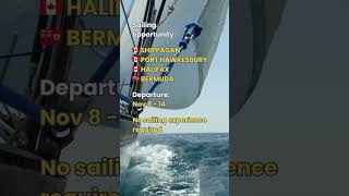 sailing sailinglife yachtie boating boatinglife yacht adventure travel fun findacrew [upl. by Alleirbag26]