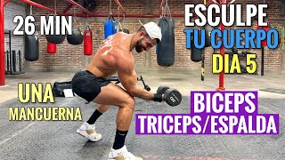 Rutina de Biceps Triceps Espalda Esculpe TU CUERPO Dia 5 26 Minutos Quema Grasa Gana Músculo [upl. by Heath]