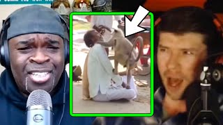 PKA Reacts to BRUTAL Monkеy Attасk in India [upl. by Arahsat]