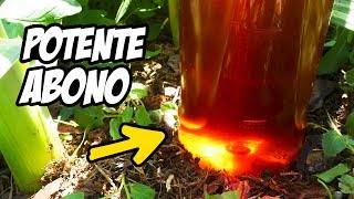 ¡Este Fertilizante Vale ORO Abono Casero para tus Plantas  La Huerta de Ivan [upl. by Ydda]