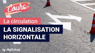 La signalisation horizontale  Code de la route [upl. by Ylyl]