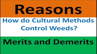 Reasons How do Cultural Methods Control weeds Merits and Demerits [upl. by Ayela622]