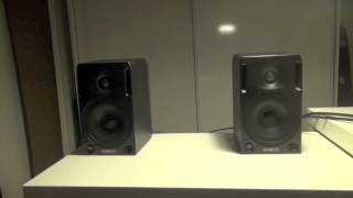 Genelec 1029A [upl. by Ahsekim]