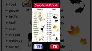 Daily English word Meaning  English Vocabulary  Native English short English speaking [upl. by Elokkin]