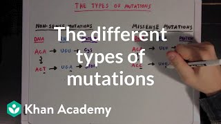 The different types of mutations  Biomolecules  MCAT  Khan Academy [upl. by Laspisa935]