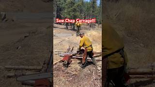 STIHL 500i vs Saw chaps wildlandfirefighters stihl stihl500i [upl. by Sidonnie545]