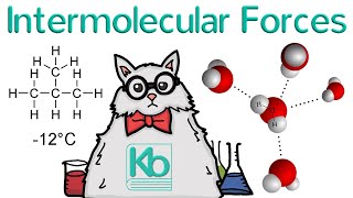 What are Intermolecular Forces [upl. by Oemac235]