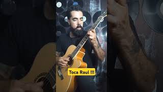 Raul Seixas violao musica metamorfoseambulante [upl. by Euqenimod953]