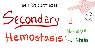 Secondary Hemostasis  How Your Blood Clots Coagulation  Hematology [upl. by Yran]