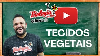 TECIDOS VEGETAIS RESUMÃO [upl. by Stonwin936]