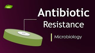 Antibiotic Resistance Mechanisms  Full Lecture  Basic Science Series [upl. by Olaf780]