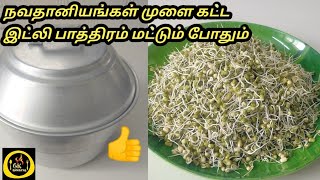 நவ தானியங்கள் முளை கட்ட இட்லி பாத்திரம் மட்டும் போதும் how to make sprouts in tamilsprouts recipe [upl. by Balas]