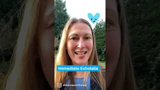 💙Demystifying Immediate Echolalia 💙autism communication speech [upl. by Symer]