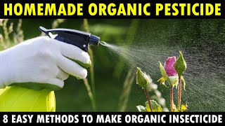 Best Homemade Organic Pesticides for Vegetable Plants  How to make Organic insecticide at Home [upl. by Ensign]