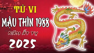 Vận Hạn Tuổi Mậu Thìn 1988 Năm 2025 Ất Tỵ [upl. by Lemar]