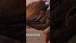 Childrens dinosaurs  Dinosaurs for toddlers to watch  dinosaurs learning for preschool [upl. by Wardieu]