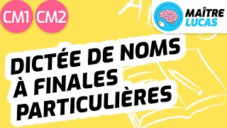 Dictée de noms à finales particulières CM1  CM2  Cycle 3  Français  Orthographe  Grammaire [upl. by Solenne375]