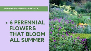 6 perennial flowers that bloom all summer  plus a bonus plant [upl. by Nelle687]