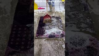 The CRAZY Thing I Learned from Washing Carpets in a UNIQUE Way [upl. by Araccat444]