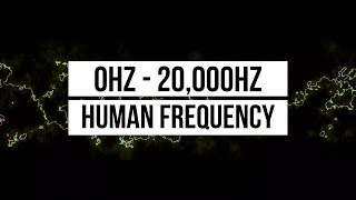 0Hz22kHz  Line Animation Reacting To Sound Frequencies [upl. by Nesyrb]