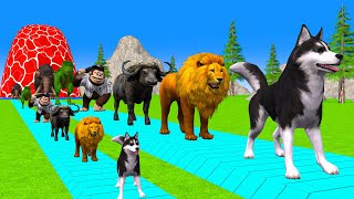 Paint amp Animals CowGorrilaLionTigerDogDinosaurMammoth Fountain Crossing Transformation Cartoon [upl. by Amandy]