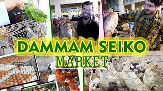 Birds and Poultry Friday market in Dammam Seiko shafachannel sauditamilvlog tamil [upl. by Ydur]