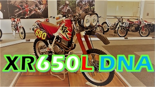 XR650L DNA [upl. by Nuahc577]