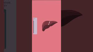 Liver Cirrhosis Treatment is Possible or Not Liver Recovery Food  DIP Diet for Liver DR BRC HIIMS [upl. by Enaile]