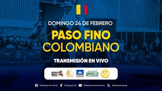 40ª EXPOSICION NACIONAL EQUINA FEDEQUINAS 2024  DIA 4  PASO FINO COLOMBIANO ESPAÑOL [upl. by Akema]