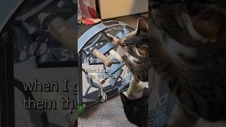 I made a 3Dprinted puzzle for cats [upl. by Gemina]