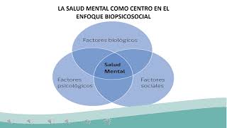 quotClase 9  Red Temática de Salud Mentalquot Salud Mental  HCVB [upl. by Lynette497]