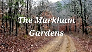 The Backroad TheMarkhamGardens January [upl. by Gwennie]