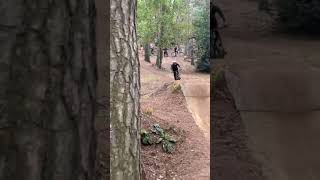 I LOVE Chicksands bike park [upl. by Baxy]